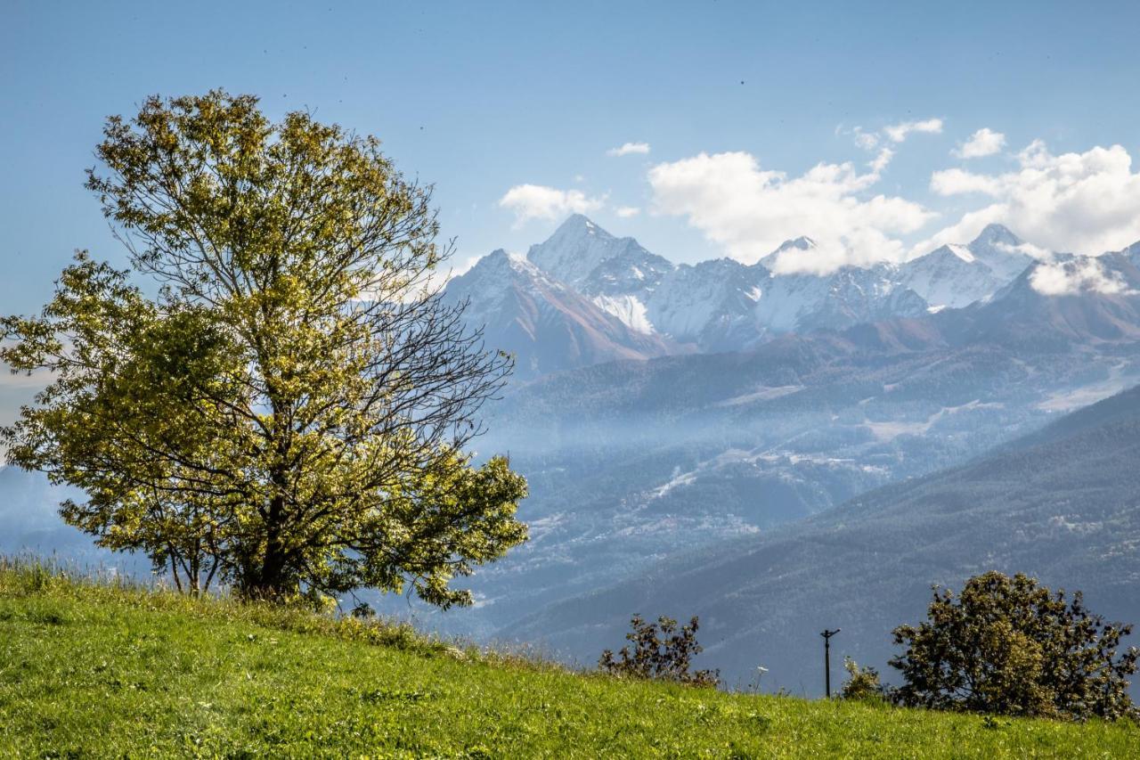 Hotel & Restaurant Saint Nicolas Gran Paradiso Exterior photo